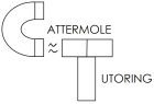 Cattermole Tutoring